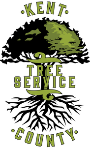Kent County Tree Service, Inc.